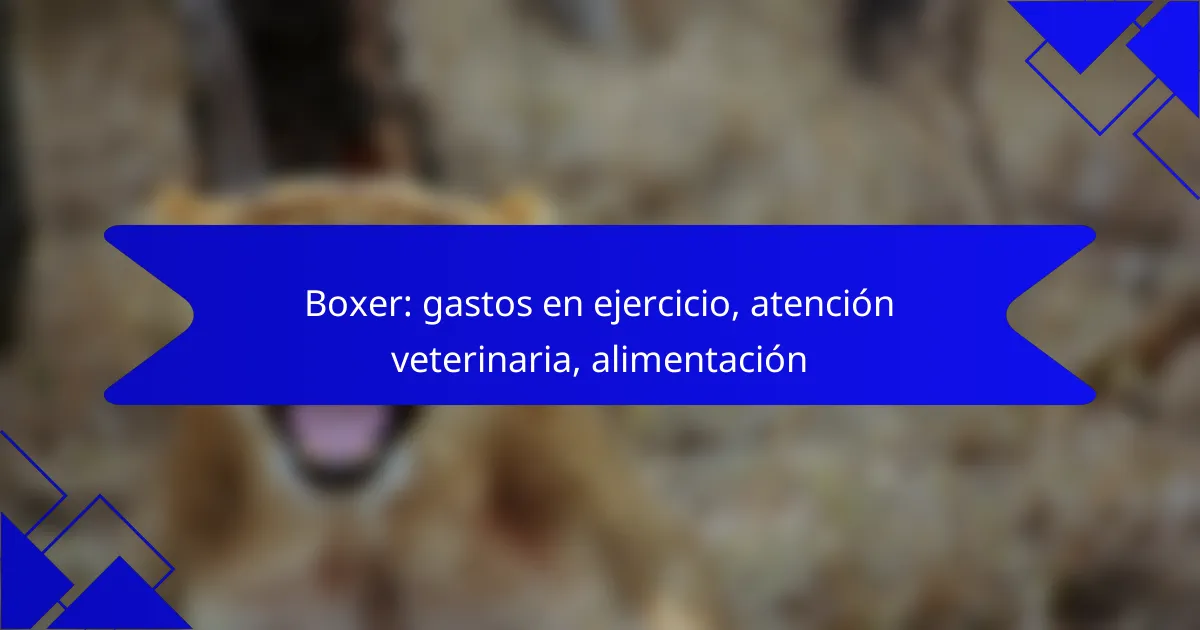 Boxer: gastos en ejercicio, atención veterinaria, alimentación