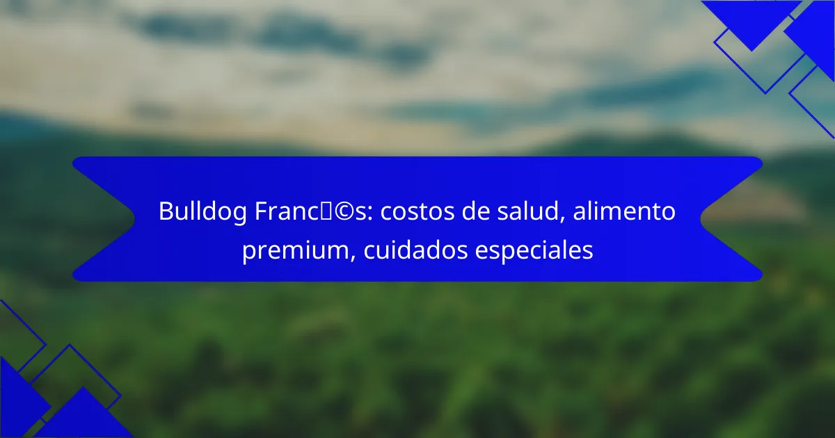 Bulldog Francés: costos de salud, alimento premium, cuidados especiales