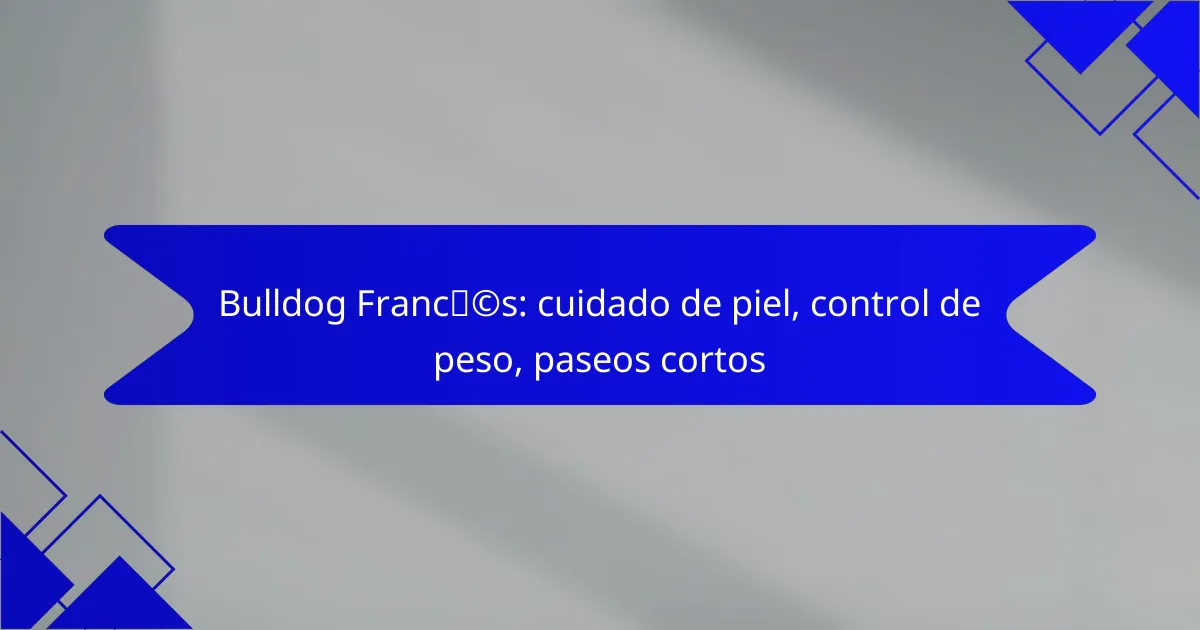 Bulldog Francés: cuidado de piel, control de peso, paseos cortos