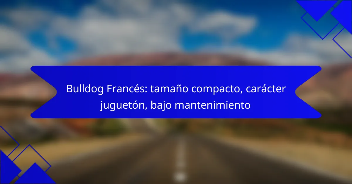 Bulldog Francés: tamaño compacto, carácter juguetón, bajo mantenimiento