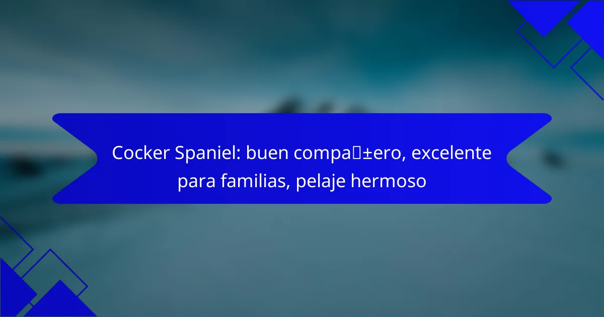 Cocker Spaniel: buen compañero, excelente para familias, pelaje hermoso