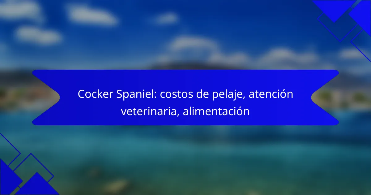 Cocker Spaniel: costos de pelaje, atención veterinaria, alimentación
