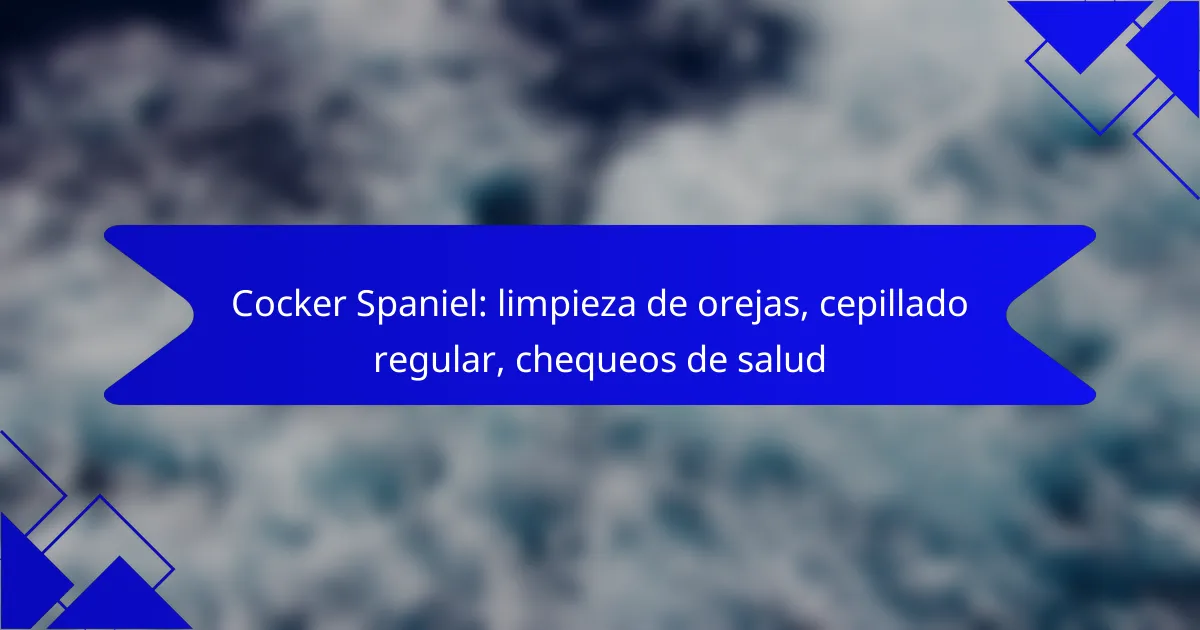 Cocker Spaniel: limpieza de orejas, cepillado regular, chequeos de salud