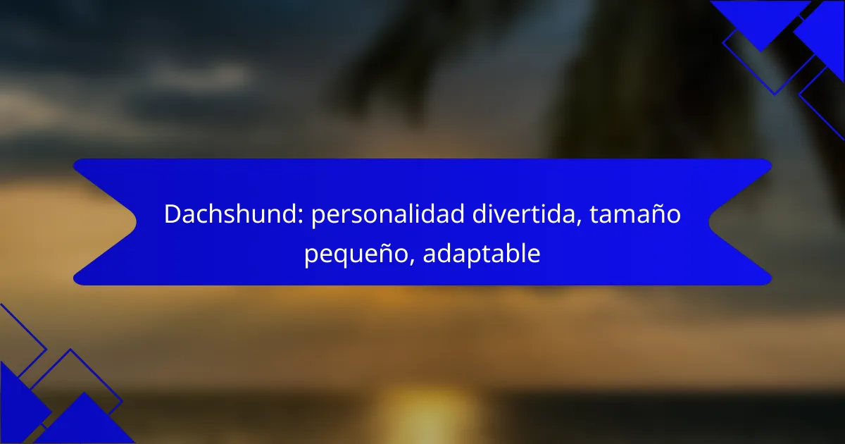 Dachshund: personalidad divertida, tamaño pequeño, adaptable