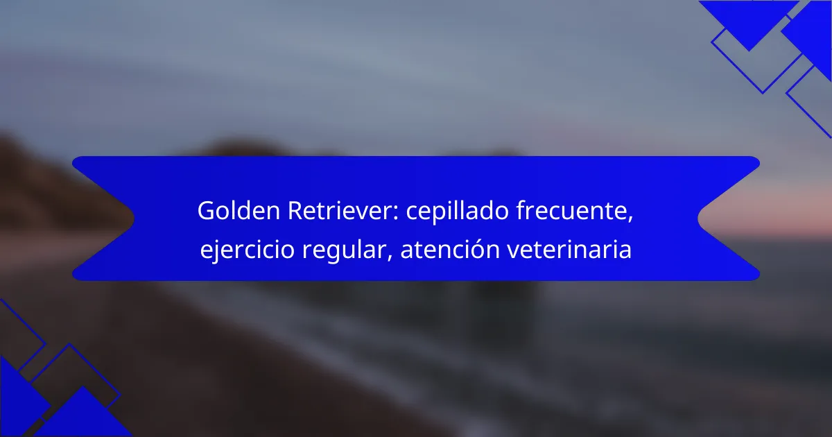 Golden Retriever: cepillado frecuente, ejercicio regular, atención veterinaria