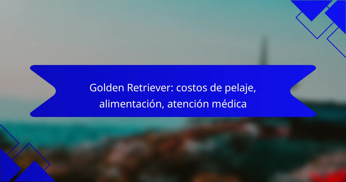 Golden Retriever: costos de pelaje, alimentación, atención médica
