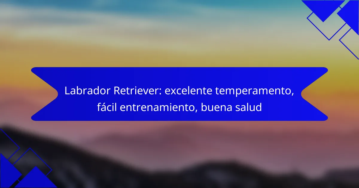 Labrador Retriever: excelente temperamento, fácil entrenamiento, buena salud