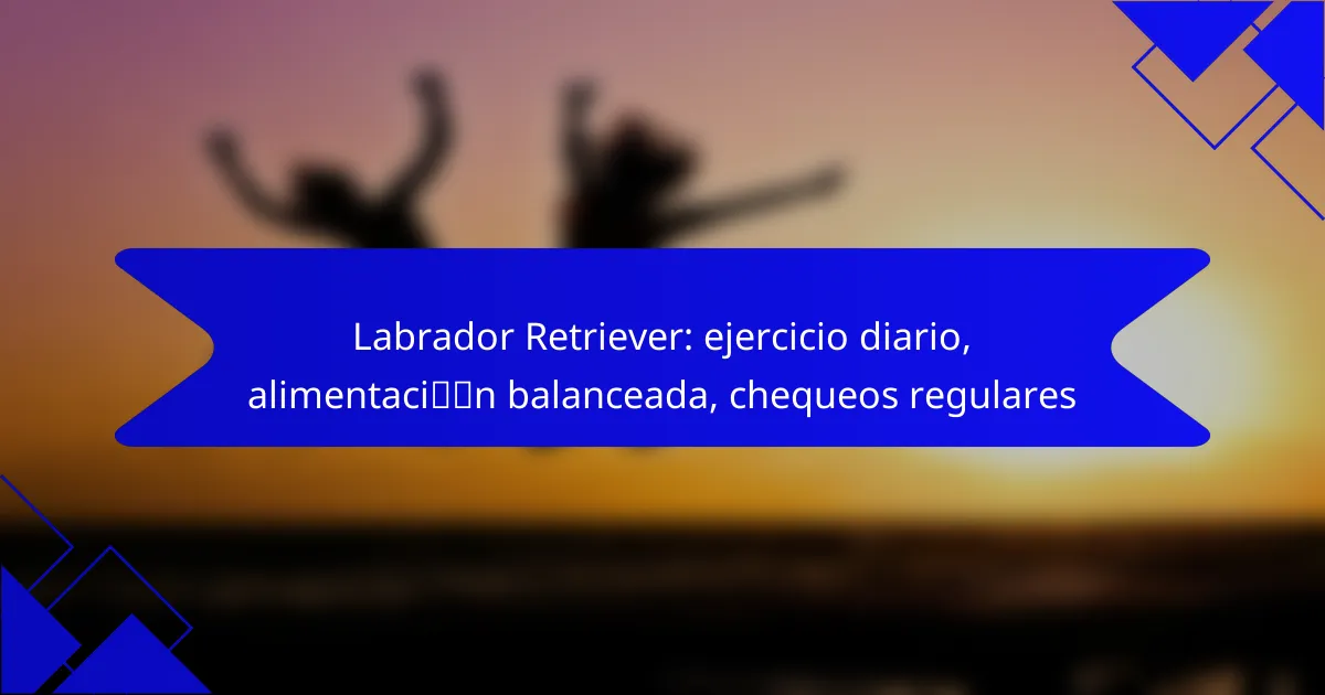 Labrador Retriever: ejercicio diario, alimentación balanceada, chequeos regulares