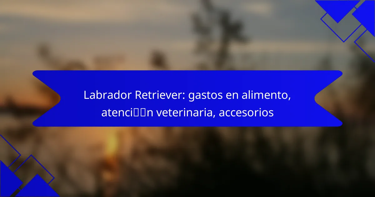 Labrador Retriever: gastos en alimento, atención veterinaria, accesorios