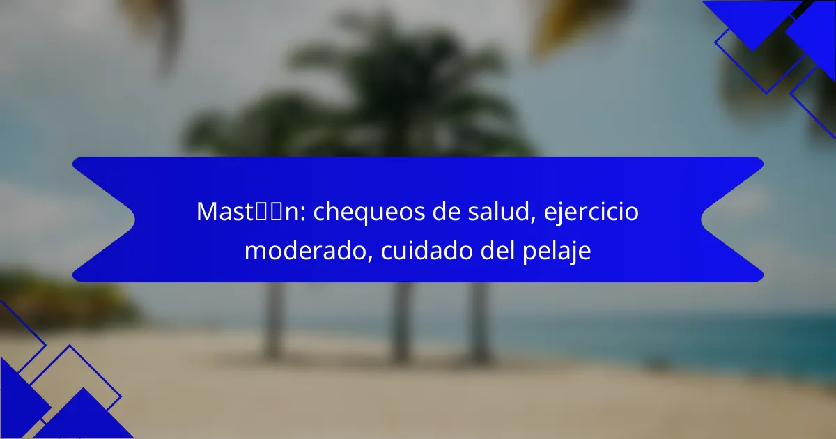 Mastín: chequeos de salud, ejercicio moderado, cuidado del pelaje