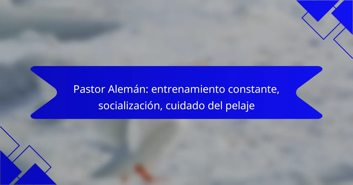Pastor Alemán: entrenamiento constante, socialización, cuidado del pelaje