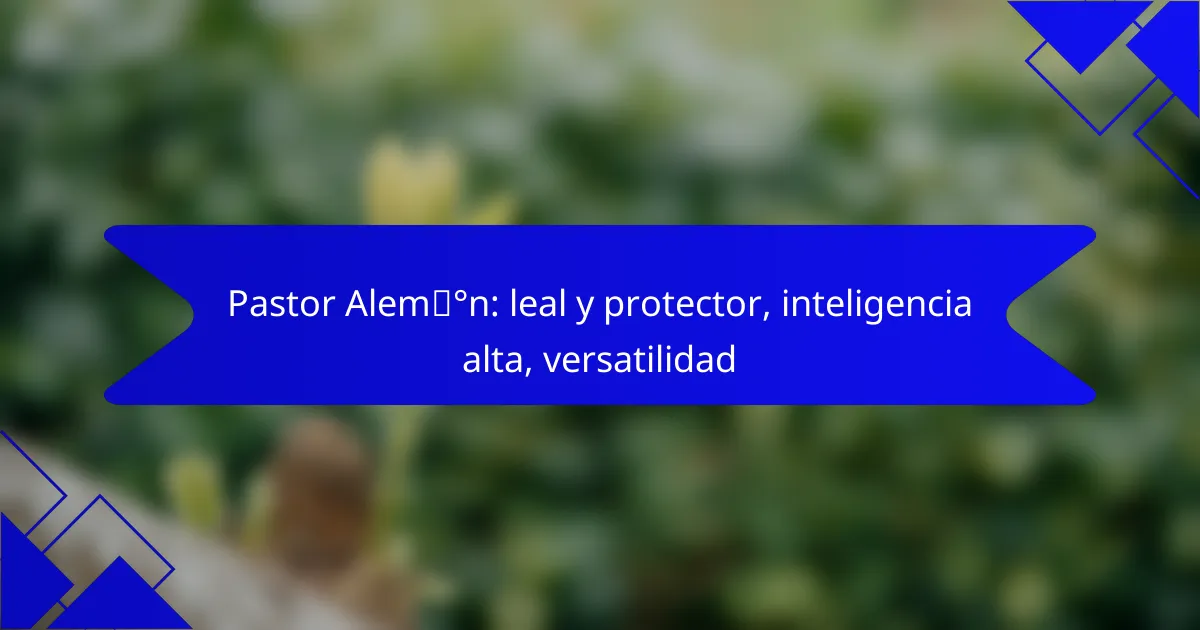 Pastor Alemán: leal y protector, inteligencia alta, versatilidad