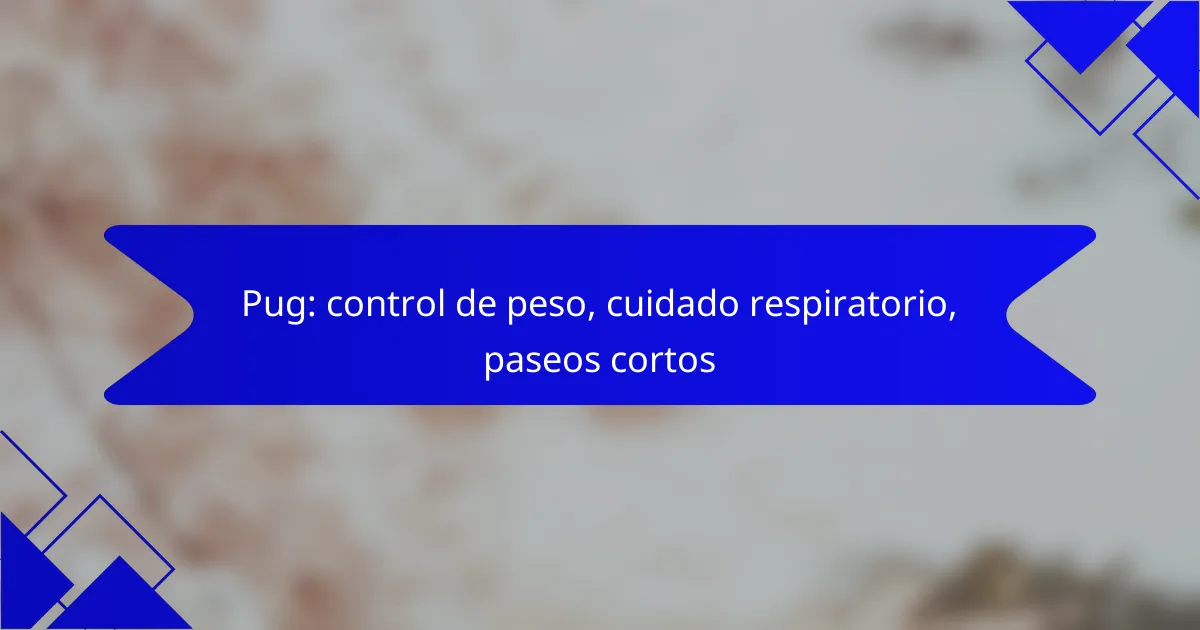 Pug: control de peso, cuidado respiratorio, paseos cortos