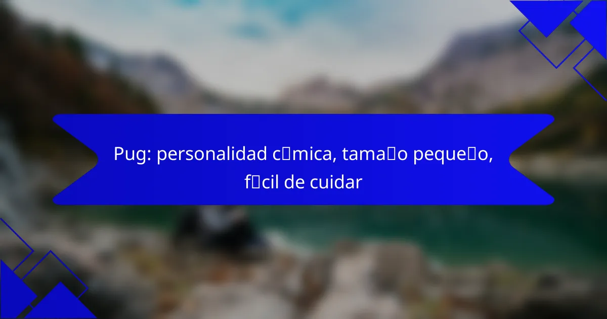 Pug: personalidad cómica, tamaño pequeño, fácil de cuidar