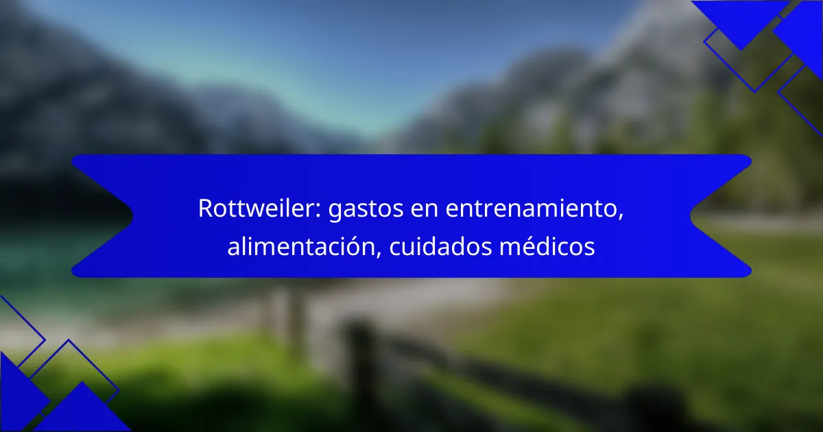 Rottweiler: gastos en entrenamiento, alimentación, cuidados médicos