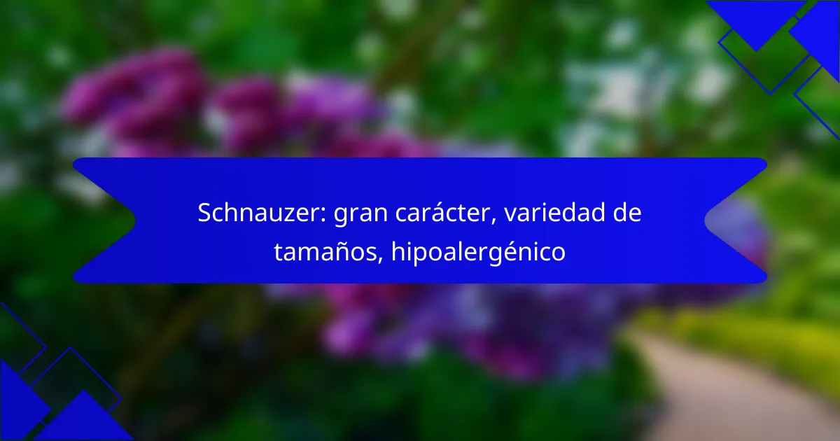 Schnauzer: gran carácter, variedad de tamaños, hipoalergénico