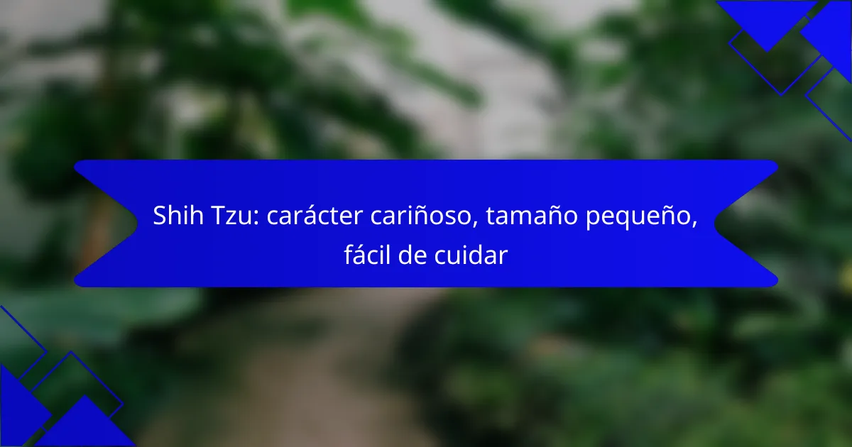 Shih Tzu: carácter cariñoso, tamaño pequeño, fácil de cuidar