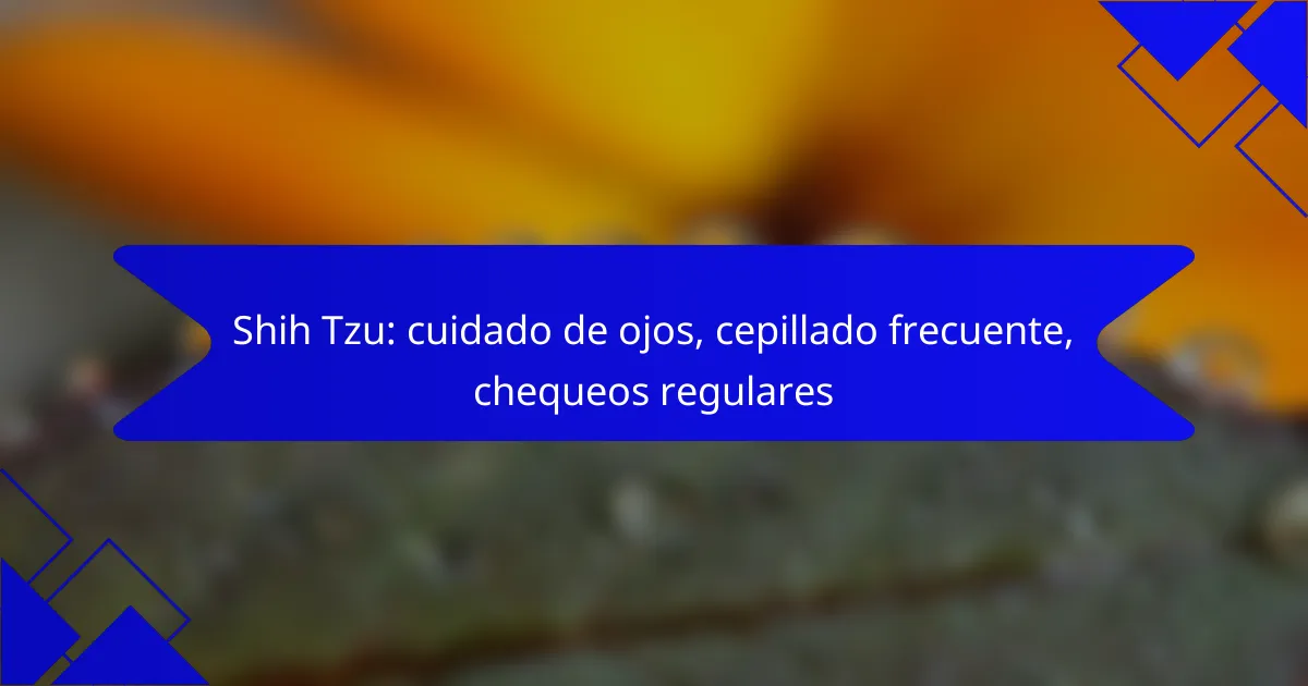 Shih Tzu: cuidado de ojos, cepillado frecuente, chequeos regulares