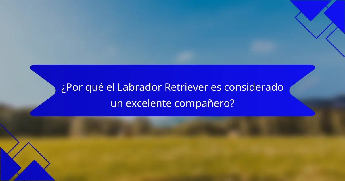¿Por qué el Labrador Retriever es considerado un excelente compañero?