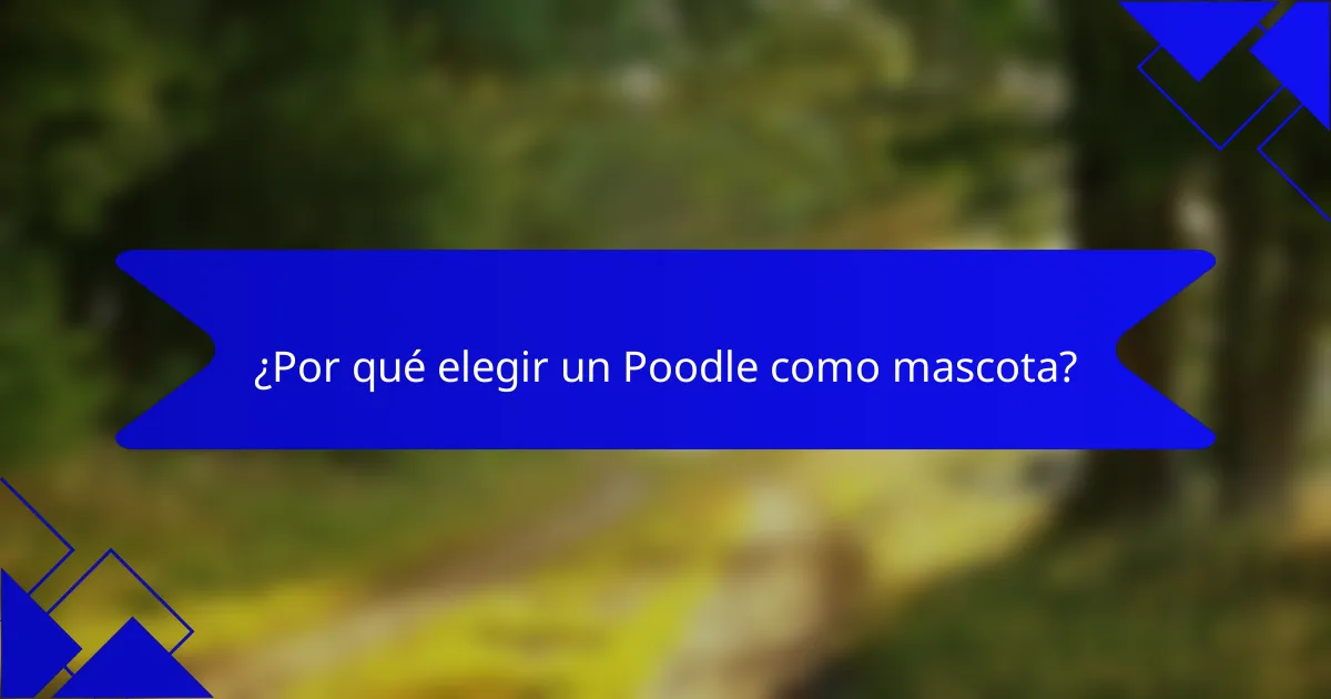 ¿Por qué elegir un Poodle como mascota?