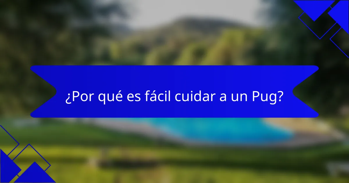 ¿Por qué es fácil cuidar a un Pug?