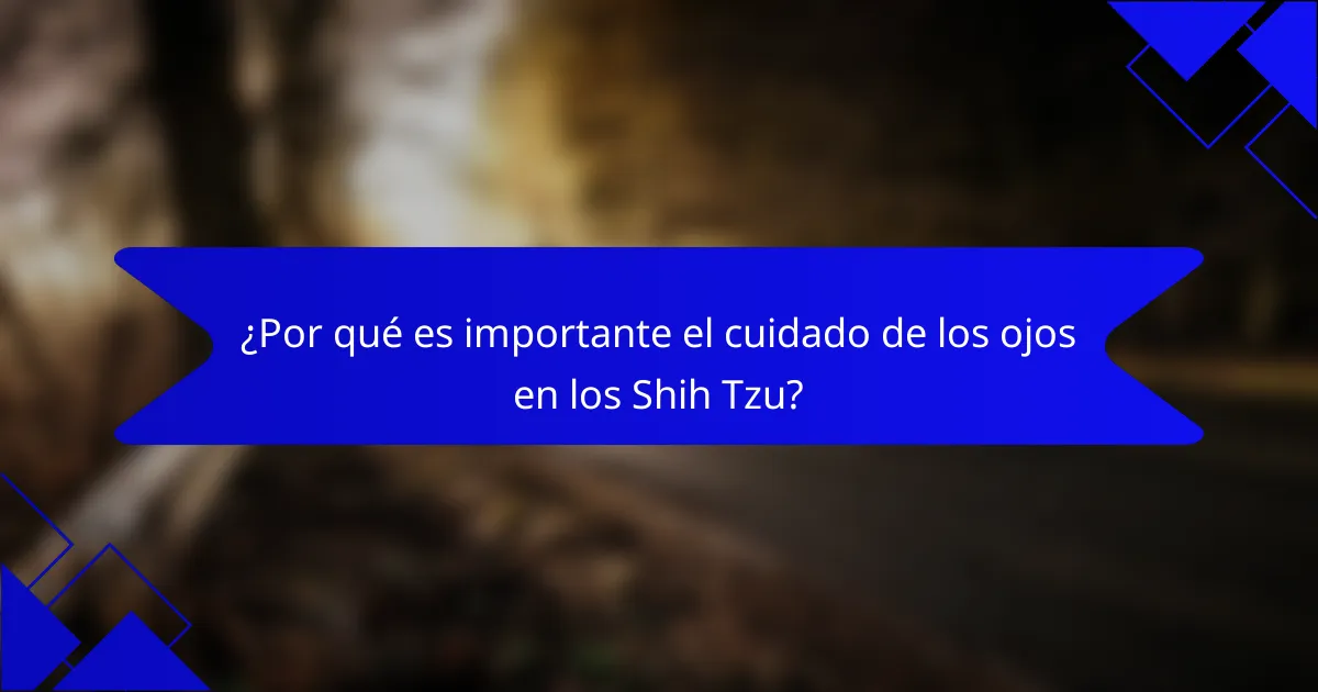 ¿Por qué es importante el cuidado de los ojos en los Shih Tzu?