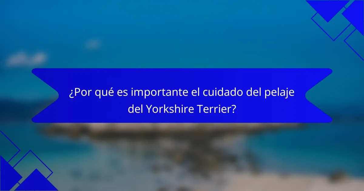 ¿Por qué es importante el cuidado del pelaje del Yorkshire Terrier?