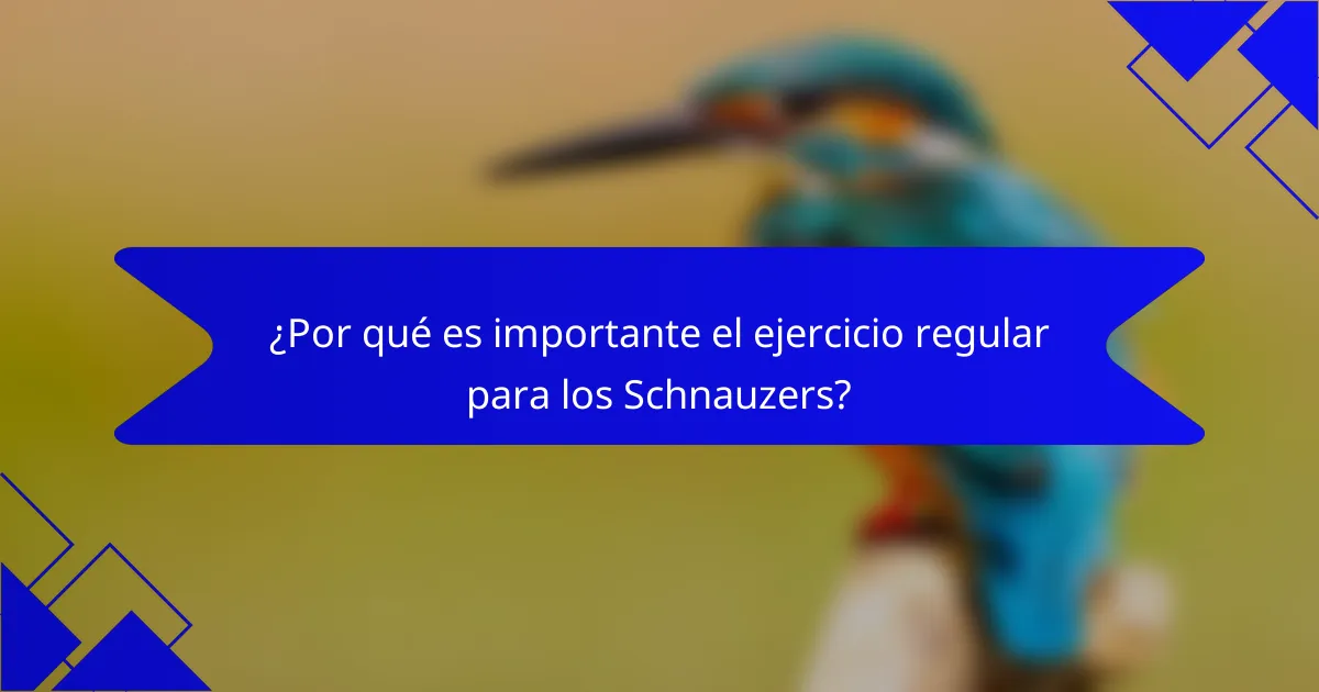 ¿Por qué es importante el ejercicio regular para los Schnauzers?