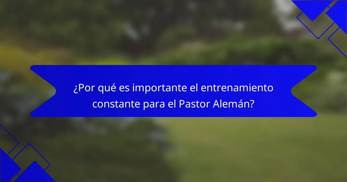 ¿Por qué es importante el entrenamiento constante para el Pastor Alemán?