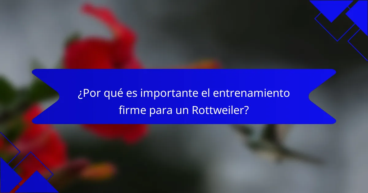 ¿Por qué es importante el entrenamiento firme para un Rottweiler?