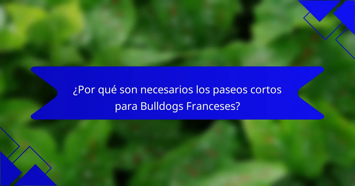 ¿Por qué son necesarios los paseos cortos para Bulldogs Franceses?