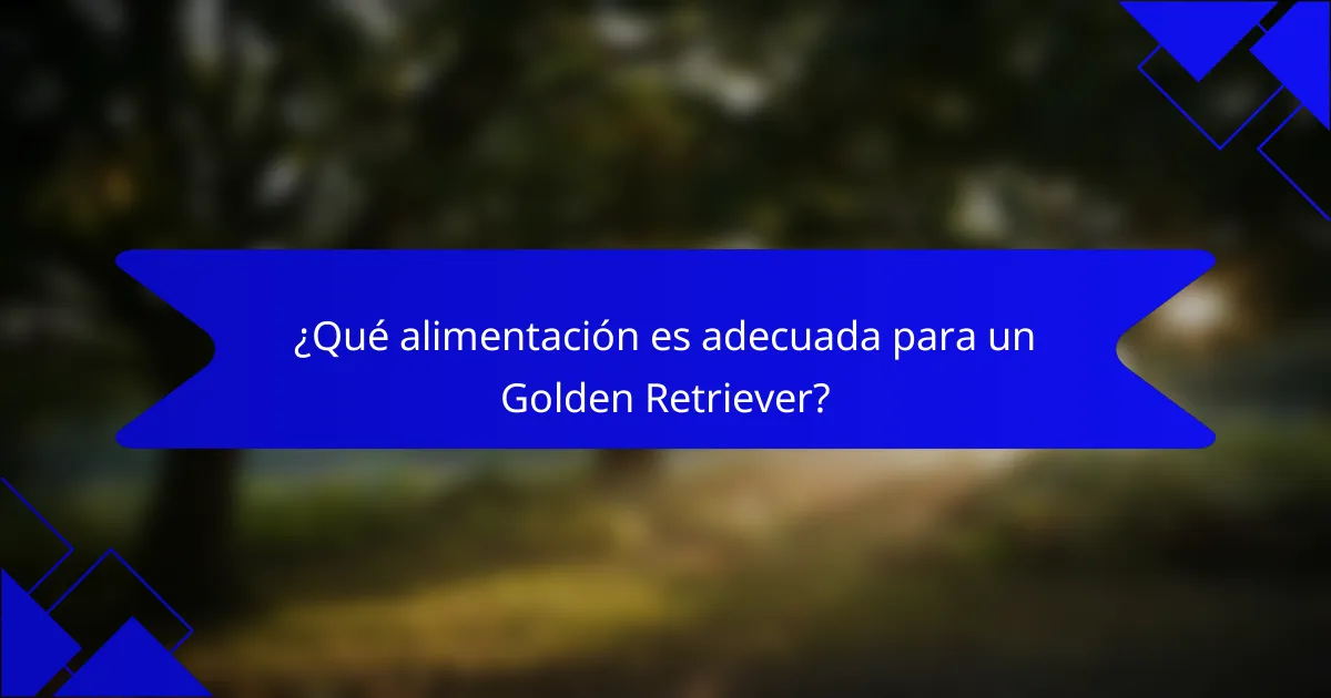 ¿Qué alimentación es adecuada para un Golden Retriever?