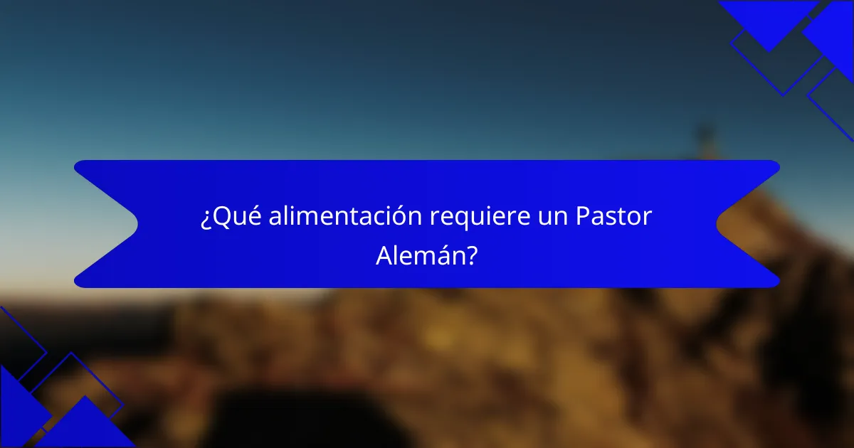 ¿Qué alimentación requiere un Pastor Alemán?