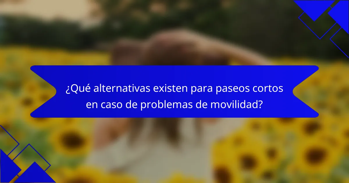 ¿Qué alternativas existen para paseos cortos en caso de problemas de movilidad?