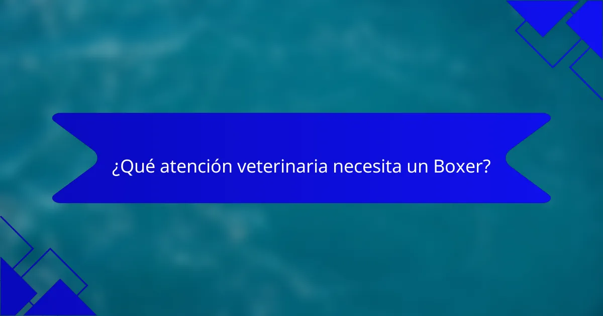 ¿Qué atención veterinaria necesita un Boxer?