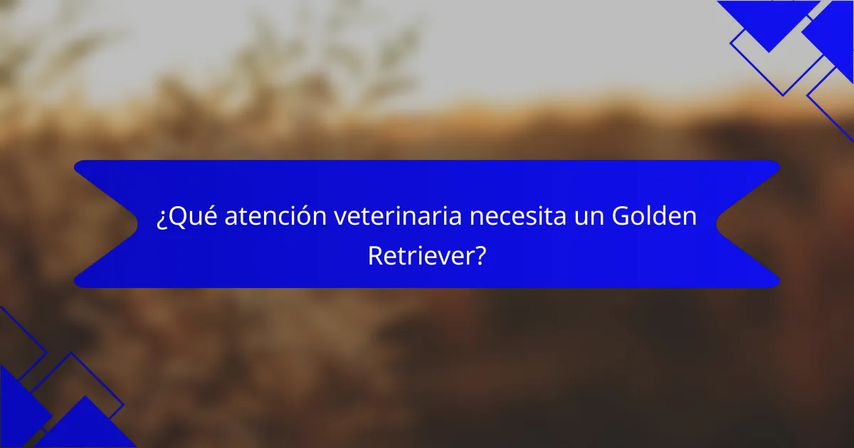 ¿Qué atención veterinaria necesita un Golden Retriever?