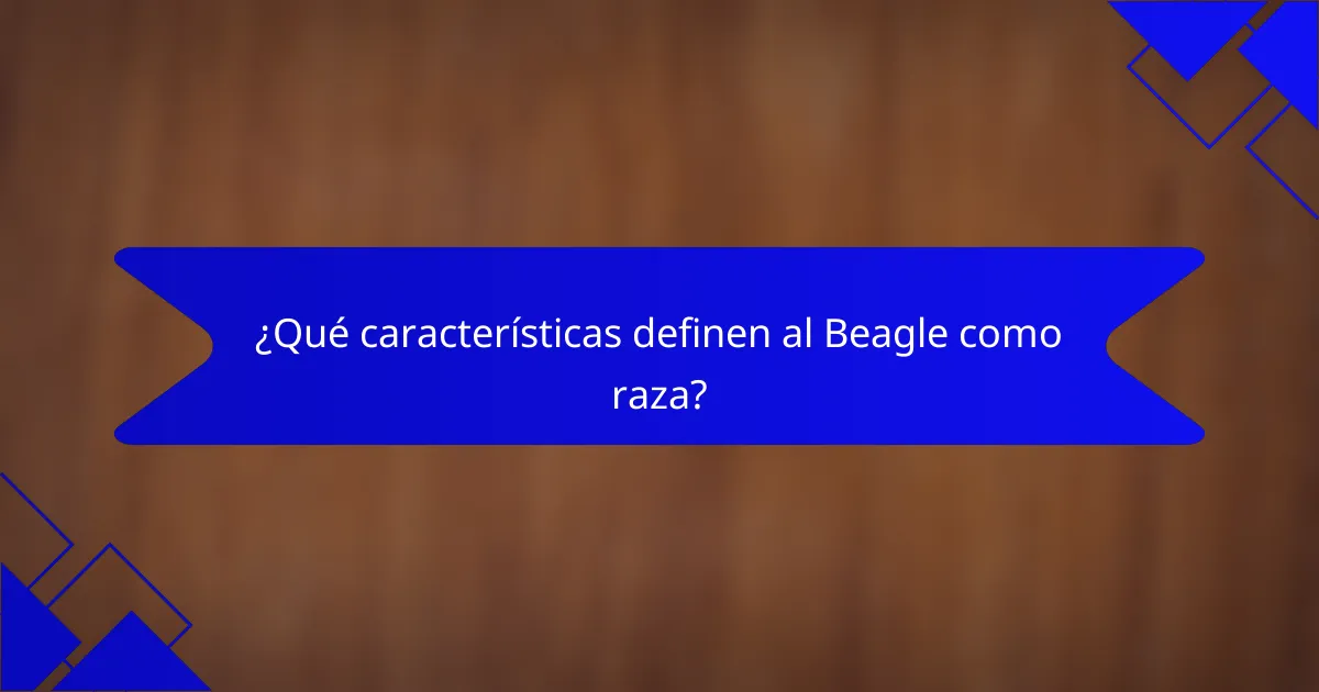 ¿Qué características definen al Beagle como raza?