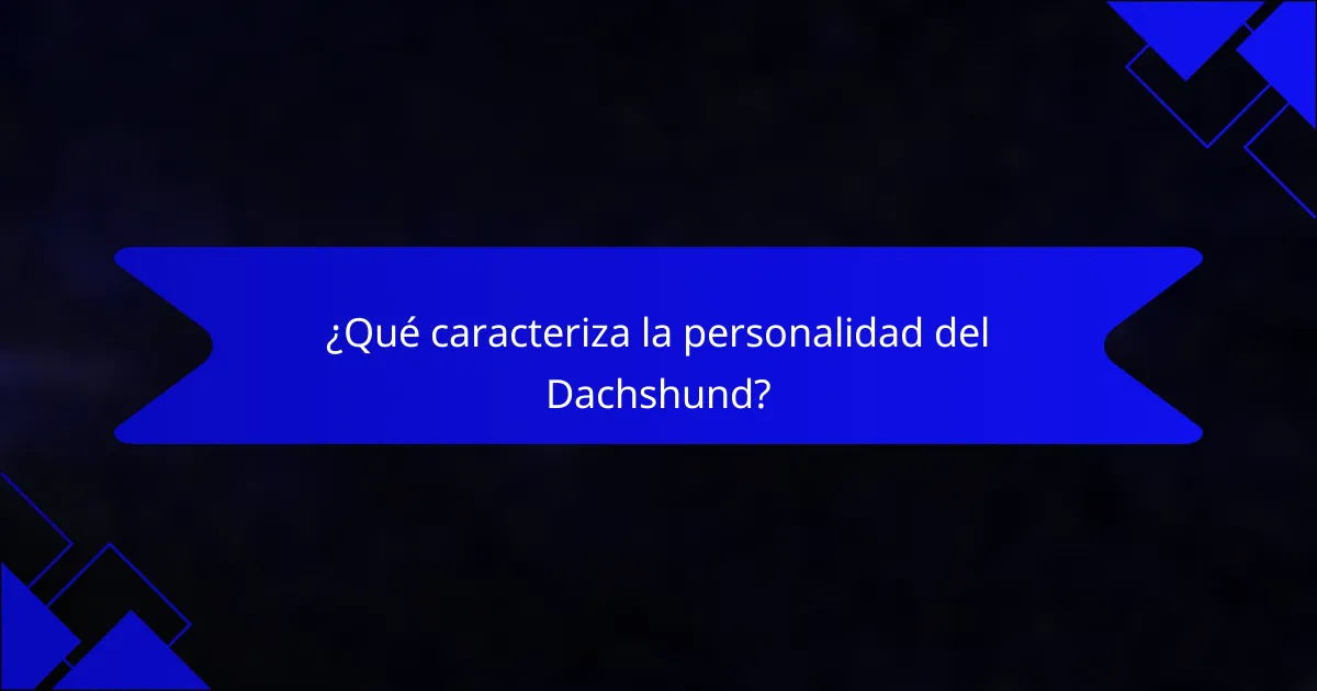¿Qué caracteriza la personalidad del Dachshund?