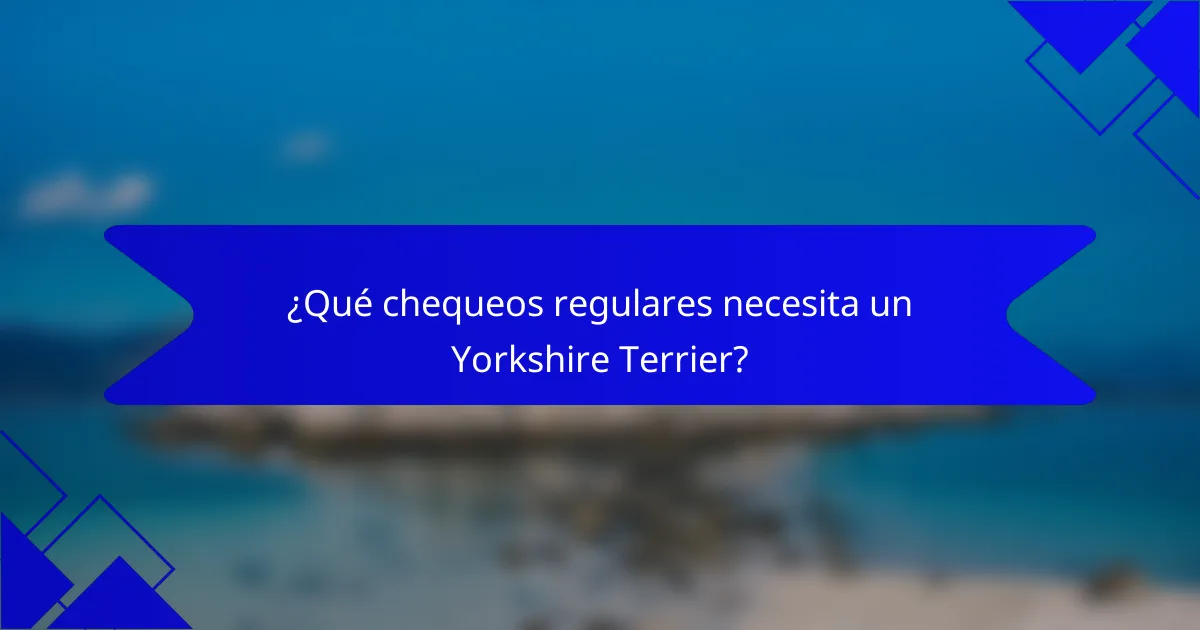 ¿Qué chequeos regulares necesita un Yorkshire Terrier?