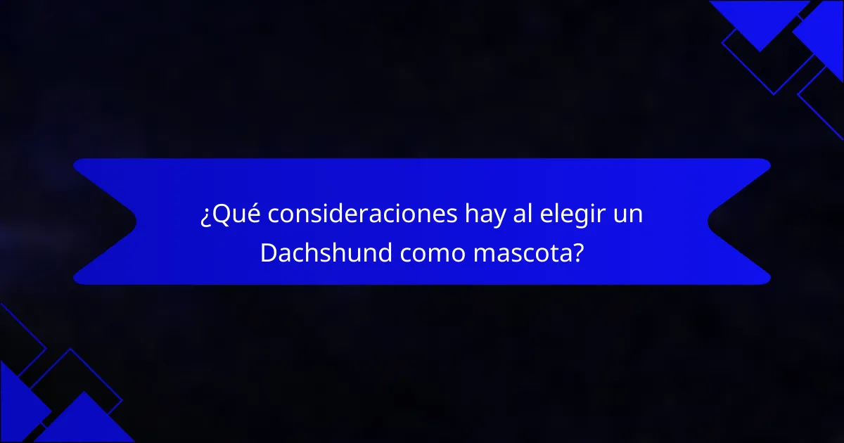 ¿Qué consideraciones hay al elegir un Dachshund como mascota?