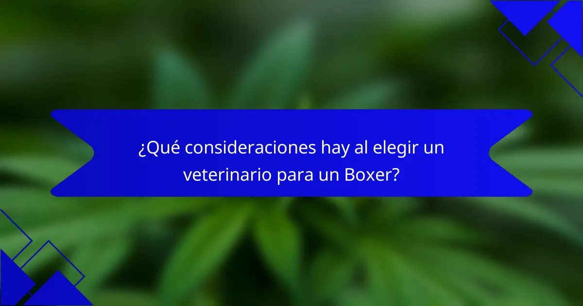 ¿Qué consideraciones hay al elegir un veterinario para un Boxer?