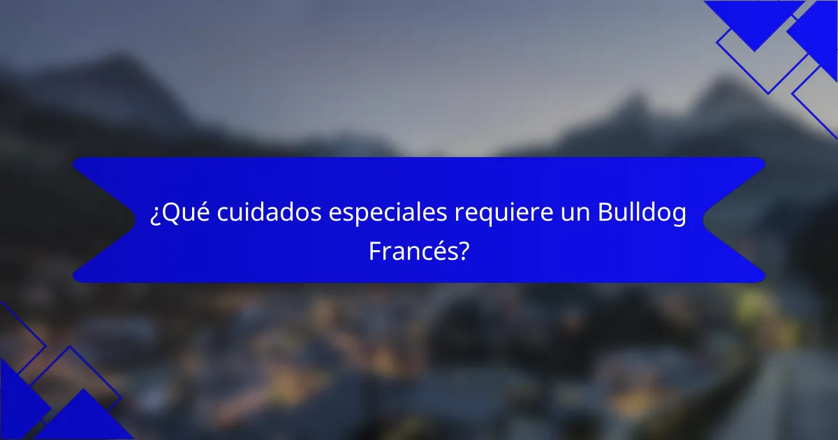 ¿Qué cuidados especiales requiere un Bulldog Francés?