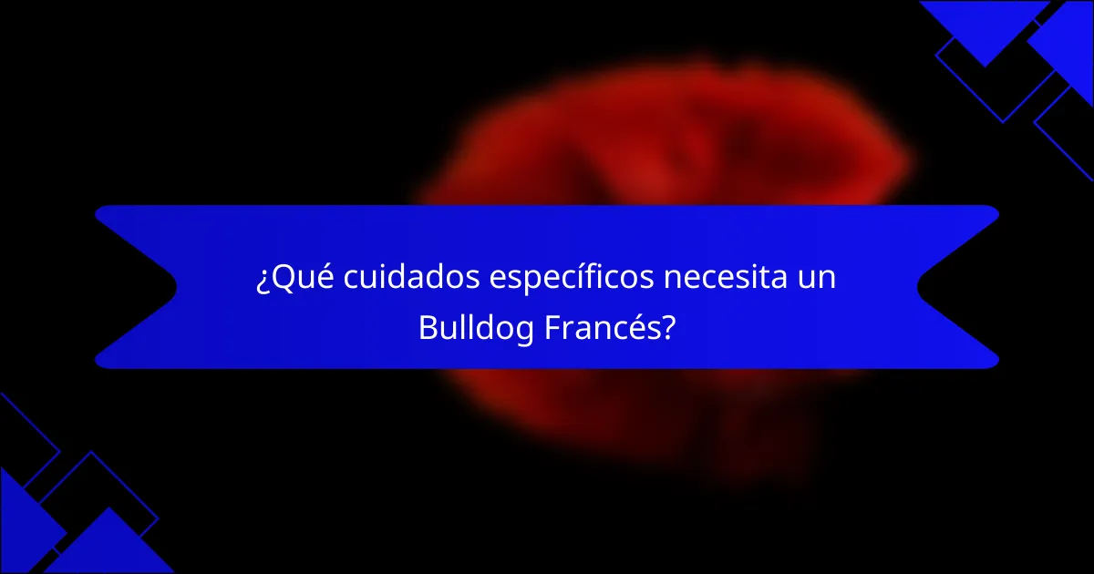 ¿Qué cuidados específicos necesita un Bulldog Francés?