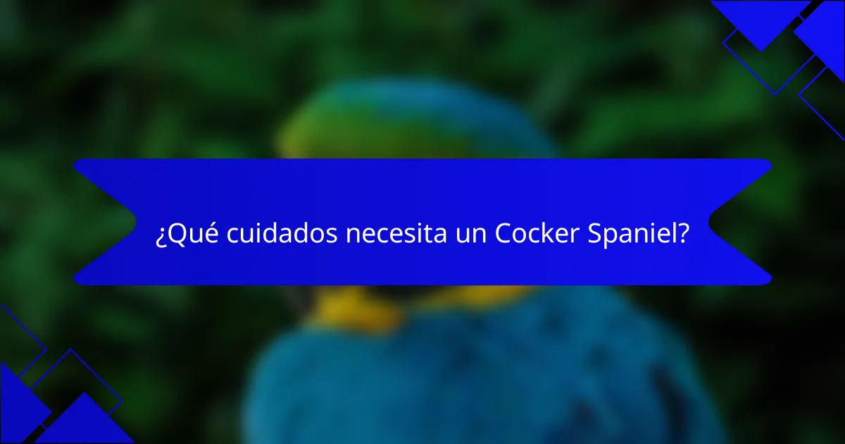 ¿Qué cuidados necesita un Cocker Spaniel?