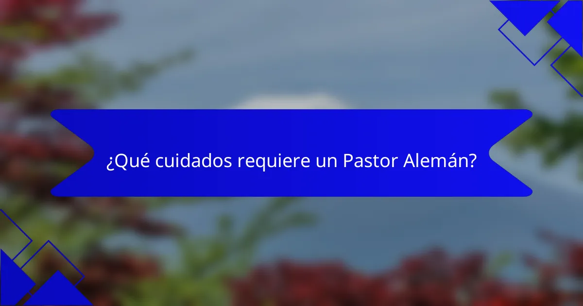 ¿Qué cuidados requiere un Pastor Alemán?