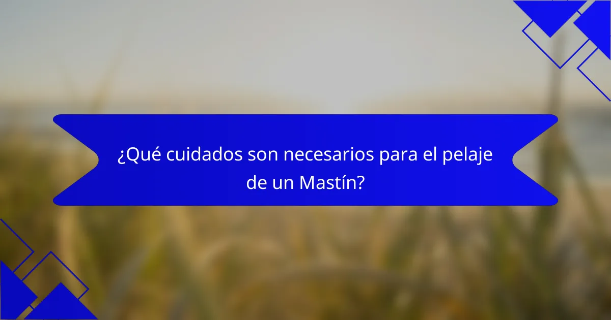¿Qué cuidados son necesarios para el pelaje de un Mastín?
