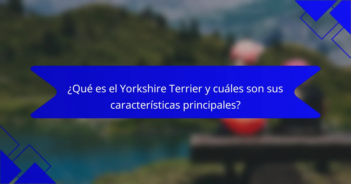 ¿Qué es el Yorkshire Terrier y cuáles son sus características principales?