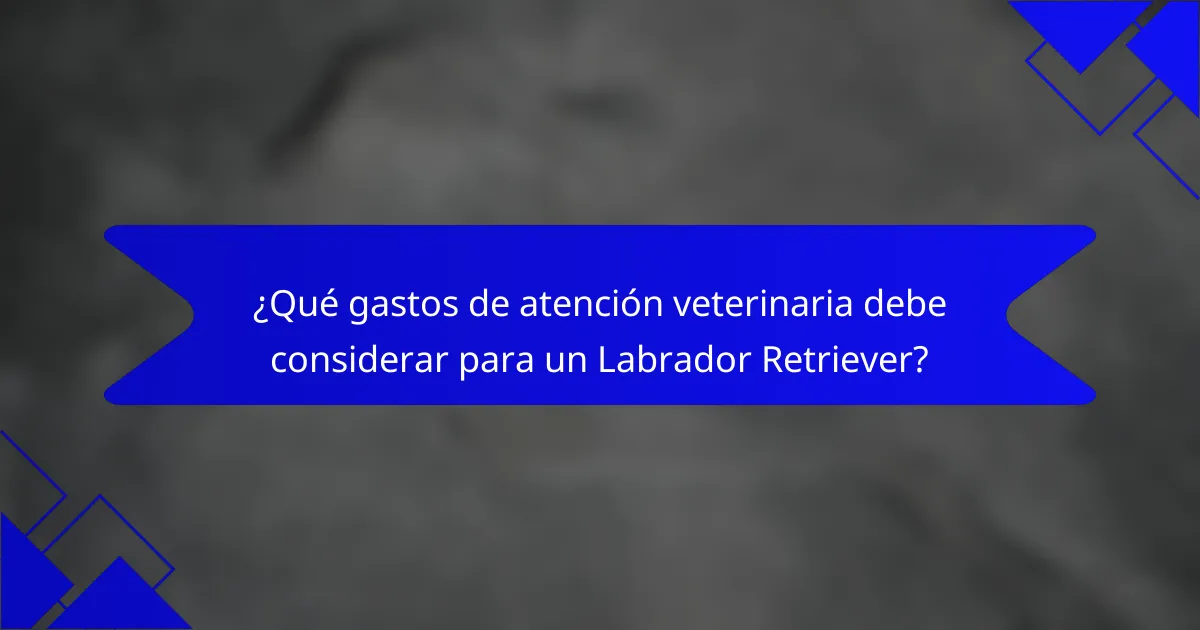 ¿Qué gastos de atención veterinaria debe considerar para un Labrador Retriever?
