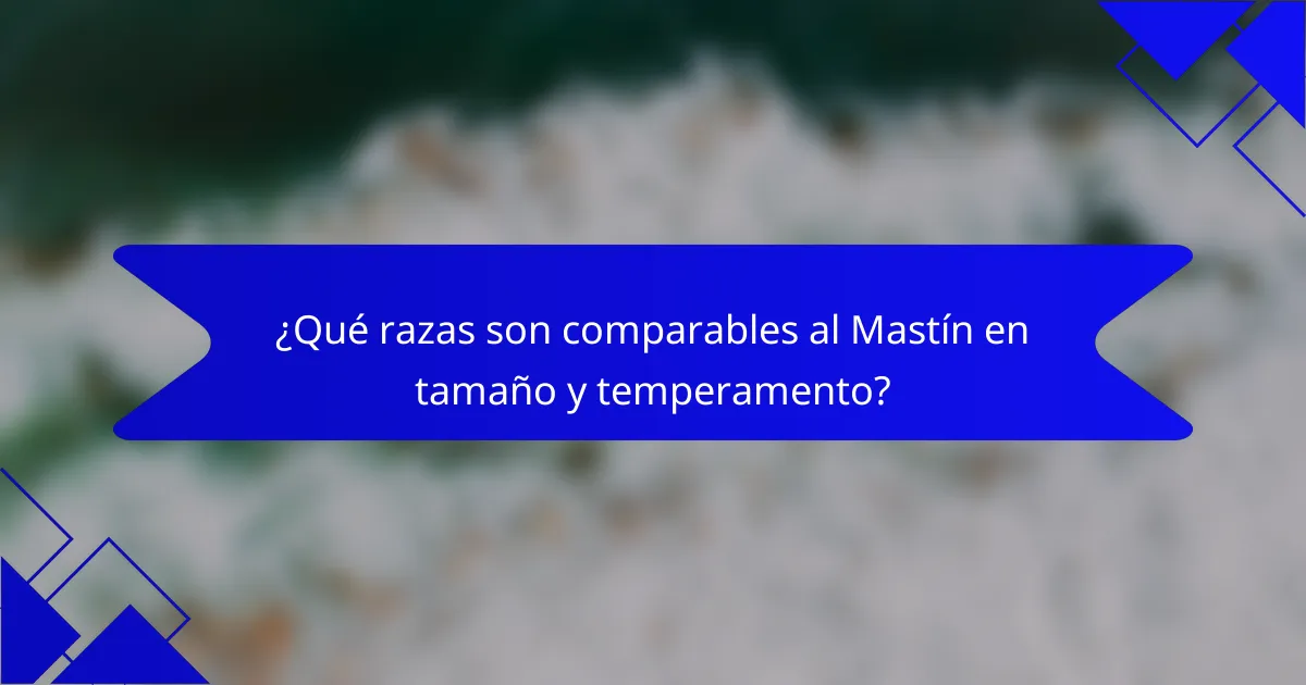 ¿Qué razas son comparables al Mastín en tamaño y temperamento?