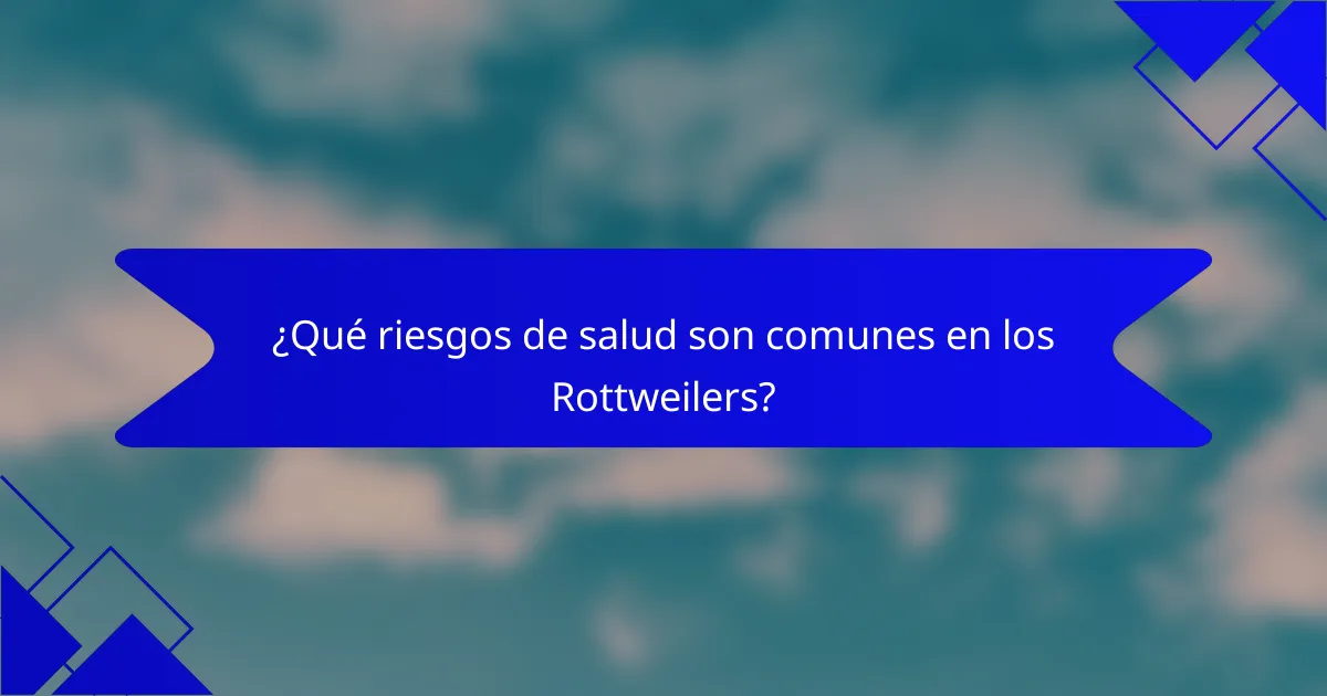 ¿Qué riesgos de salud son comunes en los Rottweilers?